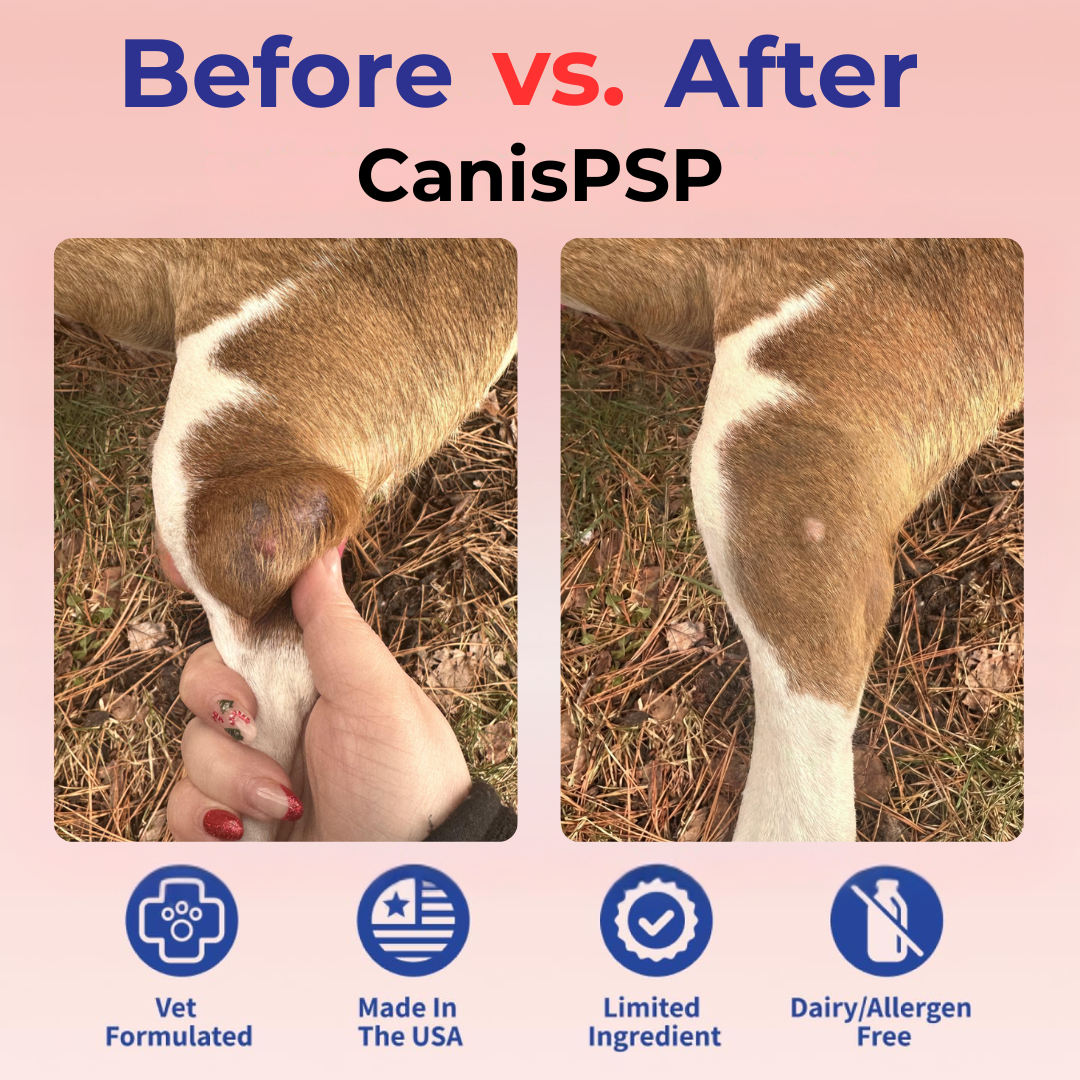 CanisPSP™ Clinical-Grade Turkey Tail