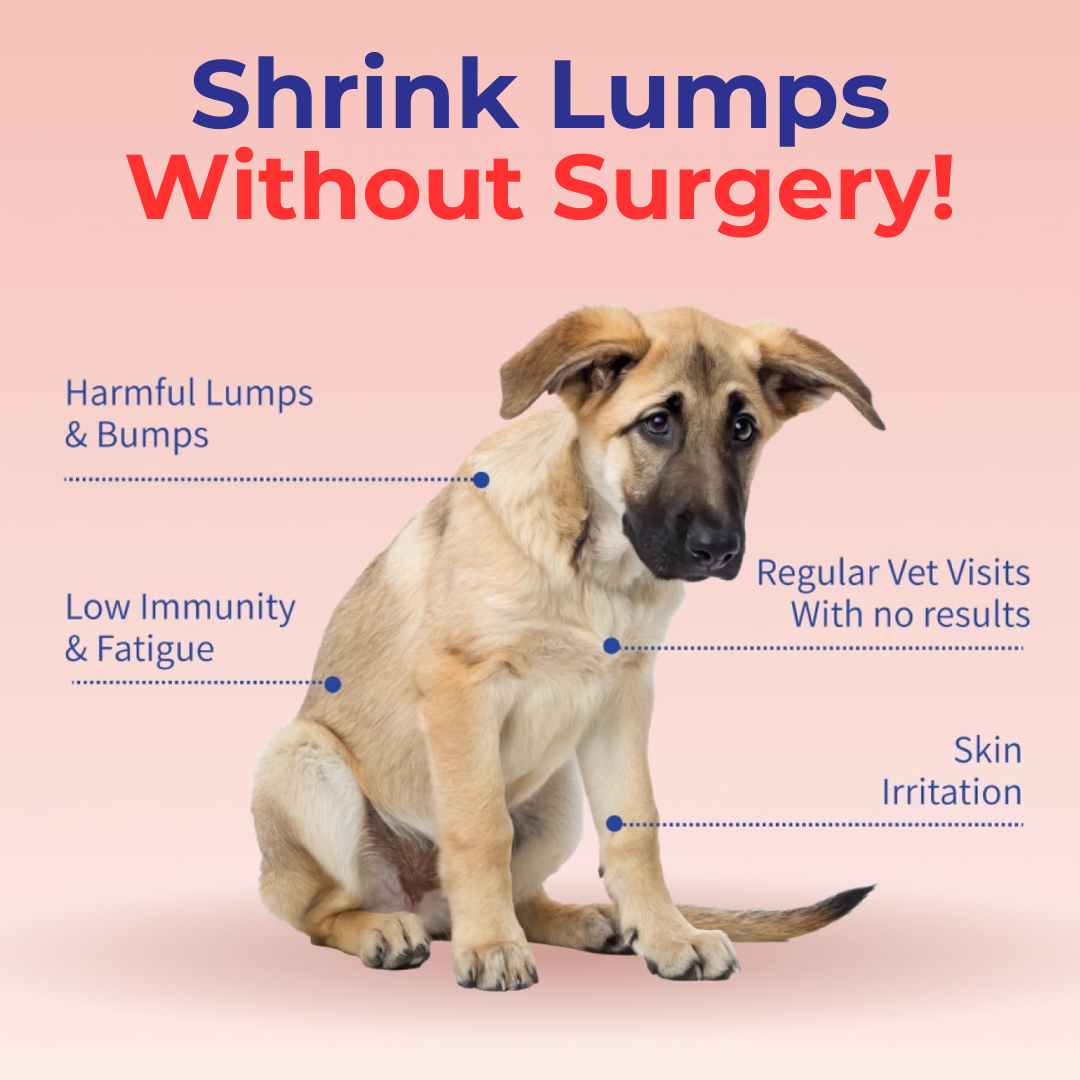 CanisPSP™ Clinical-Grade Turkey Tail