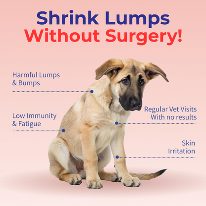 CanisPSP™ Clinical-Grade Turkey Tail